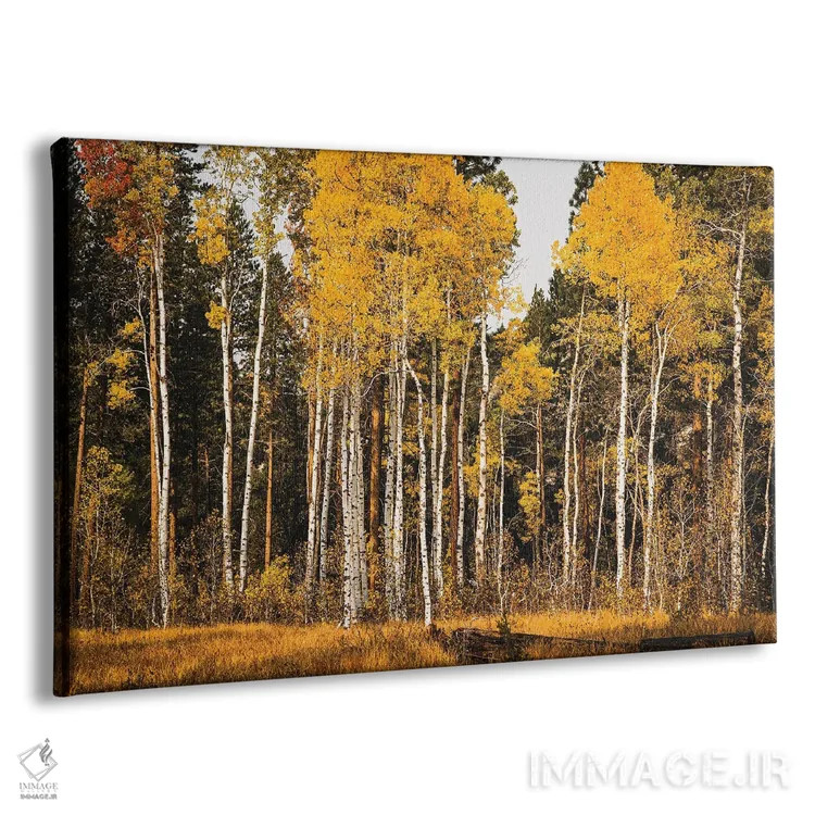 تابلو دکوراتیو درخشندگی سپیدار اثر هدر رابرسون - نمای پرسپکتیو محصول