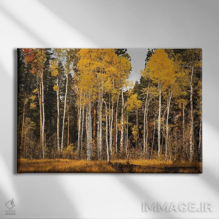 تابلو دکوراتیو درخشندگی سپیدار اثر هدر رابرسون - نمای روبهرو روی دیوار