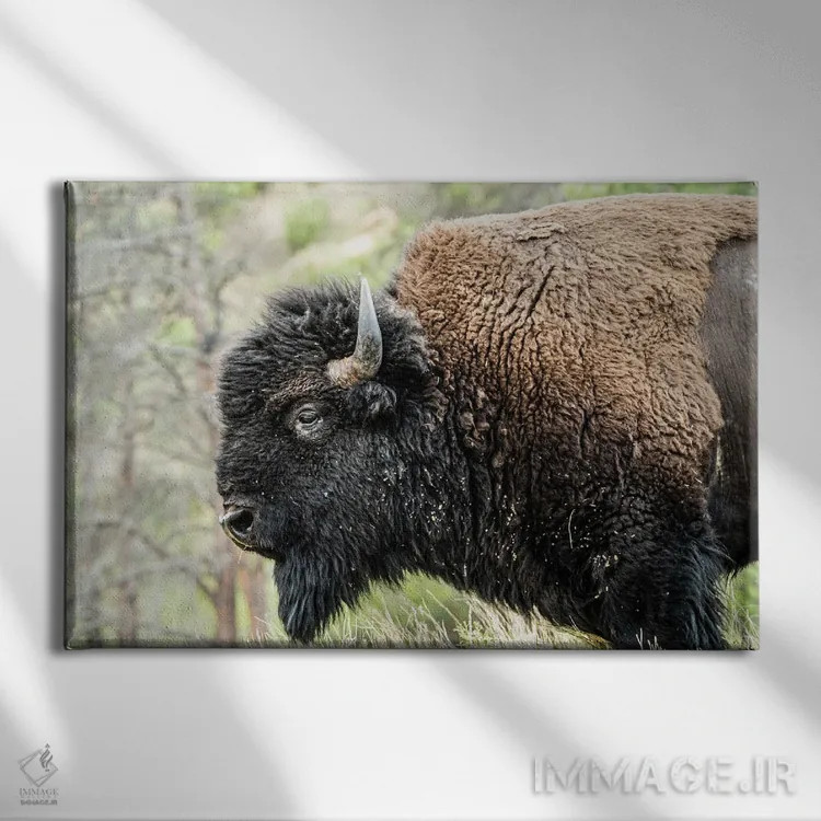 تابلو دکوراتیو همه چیز آرام در جبهه غرب اثر هدر رابرسون - نمای روبهرو روی دیوار