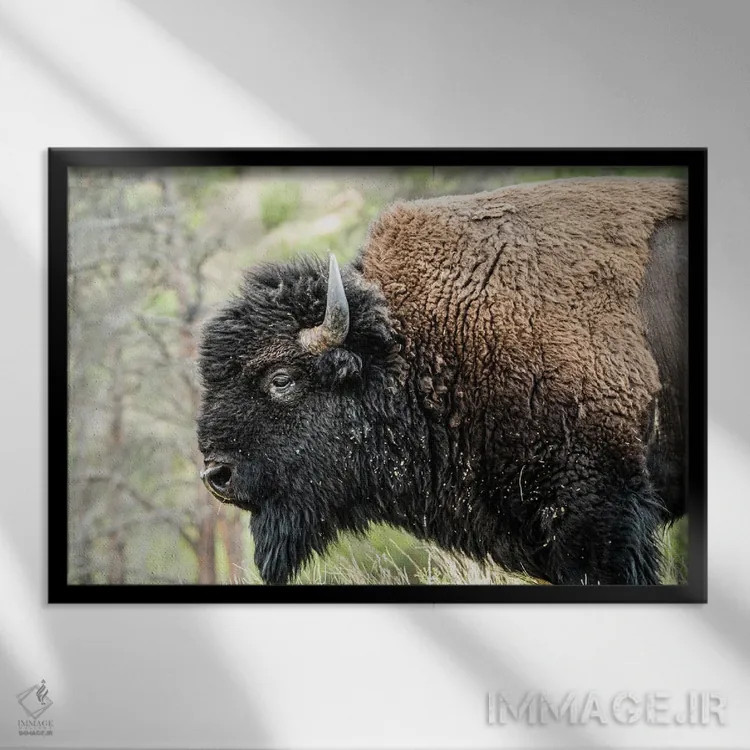 تابلو دکوراتیو همه چیز آرام در جبهه غرب اثر هدر رابرسون - نمای قابدار مشکی