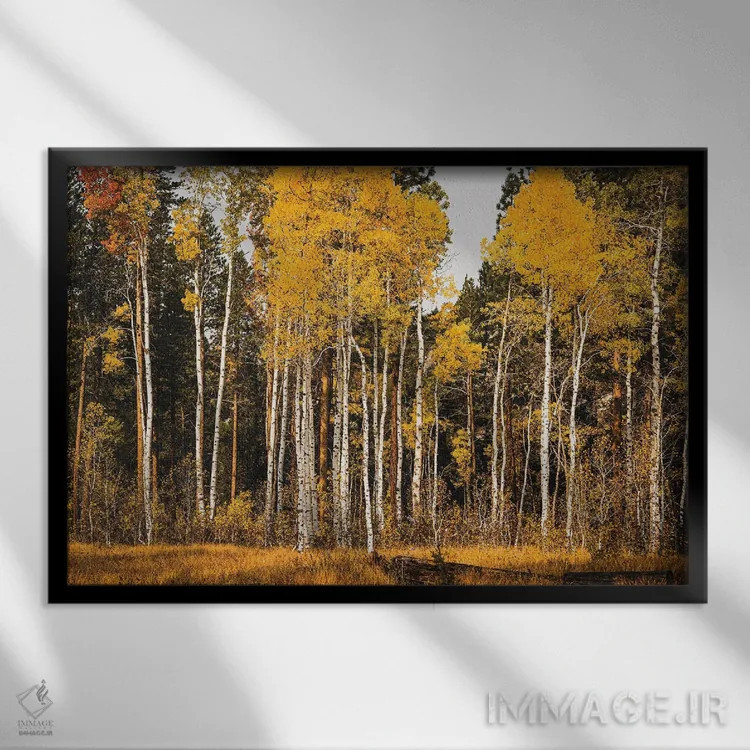 تابلو دکوراتیو درخشندگی سپیدار اثر هدر رابرسون - نمای قابدار مشکی