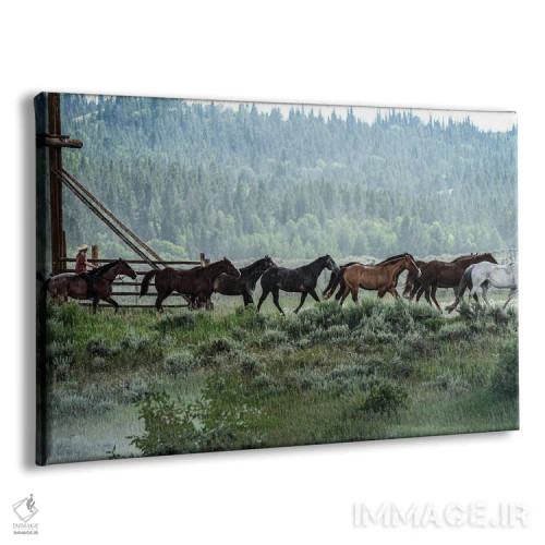 تابلو دکوراتیو جمع آوری گله اثر هدر رابرسون - نمای پرسپکتیو محصول