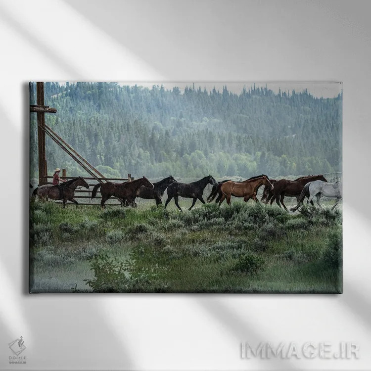 تابلو دکوراتیو جمع آوری گله اثر هدر رابرسون - نمای روبهرو روی دیوار