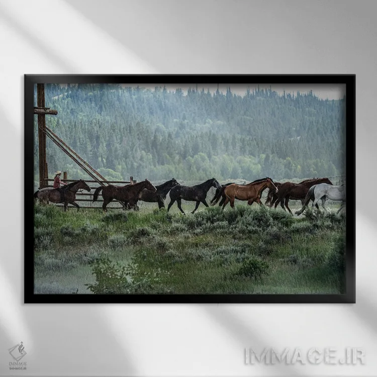 تابلو دکوراتیو جمع آوری گله اثر هدر رابرسون - نمای قابدار مشکی