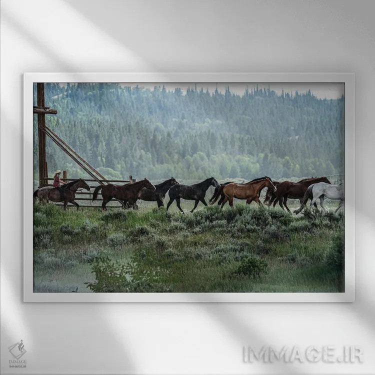 تابلو دکوراتیو جمع آوری گله اثر هدر رابرسون - نمای قابدار سفید