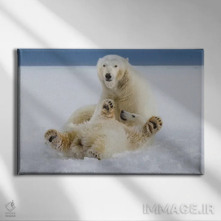 تابلو دکوراتیو ANWR, Northern Alaska,خرس قطبی ماده و توله اش در برف در لبه یخ ه… اثر هیو رز - نمای روبهرو روی دیوار