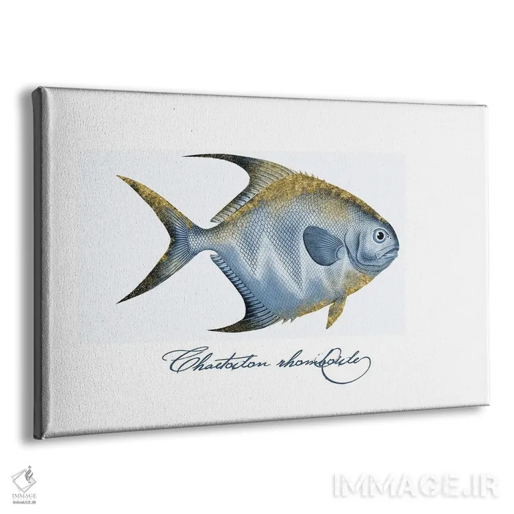 تابلو دکوراتیو ماهی پروانه ای بال تزئین شده دوم اثر آندریا هازه - نمای پرسپکتیو محصول