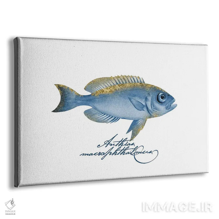تابلو دکوراتیو ماهی گرنت چشم عینکی بال تزئین شده اثر آندریا هازه - نمای پرسپکتیو محصول