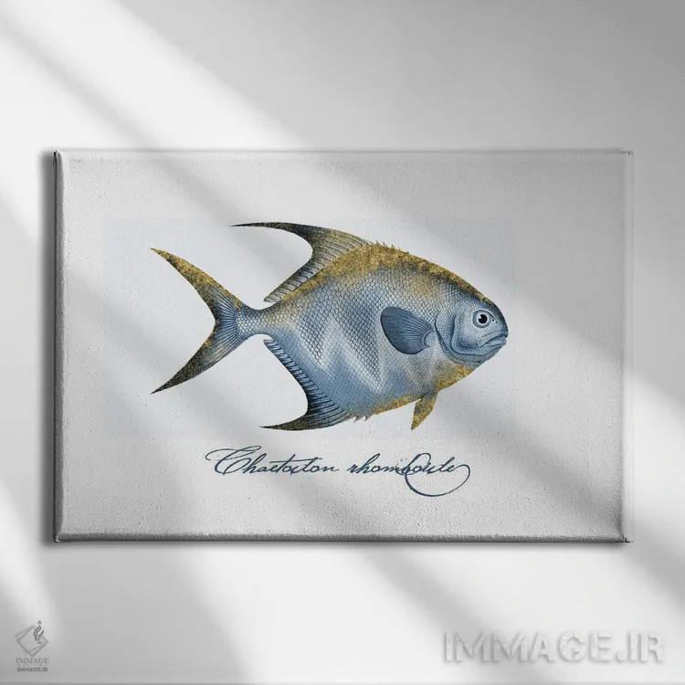 تابلو دکوراتیو ماهی پروانه ای بال تزئین شده دوم اثر آندریا هازه - نمای روبهرو روی دیوار