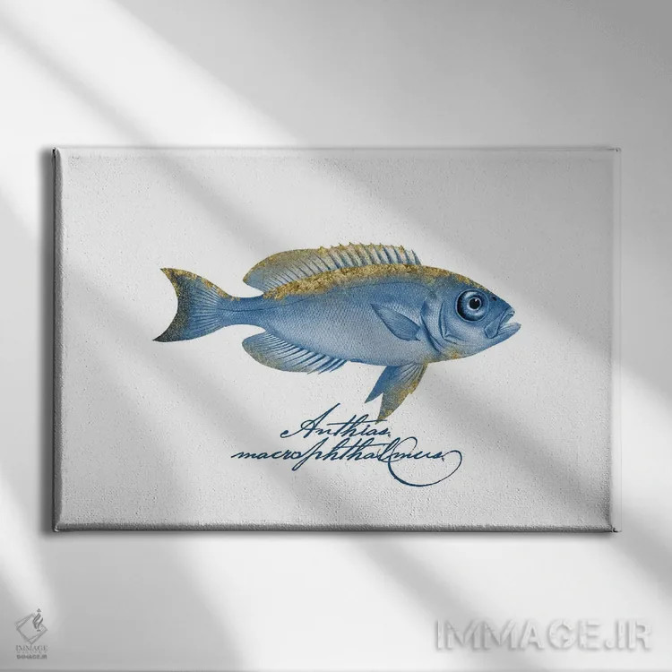 تابلو دکوراتیو ماهی گرنت چشم عینکی بال تزئین شده اثر آندریا هازه - نمای روبهرو روی دیوار