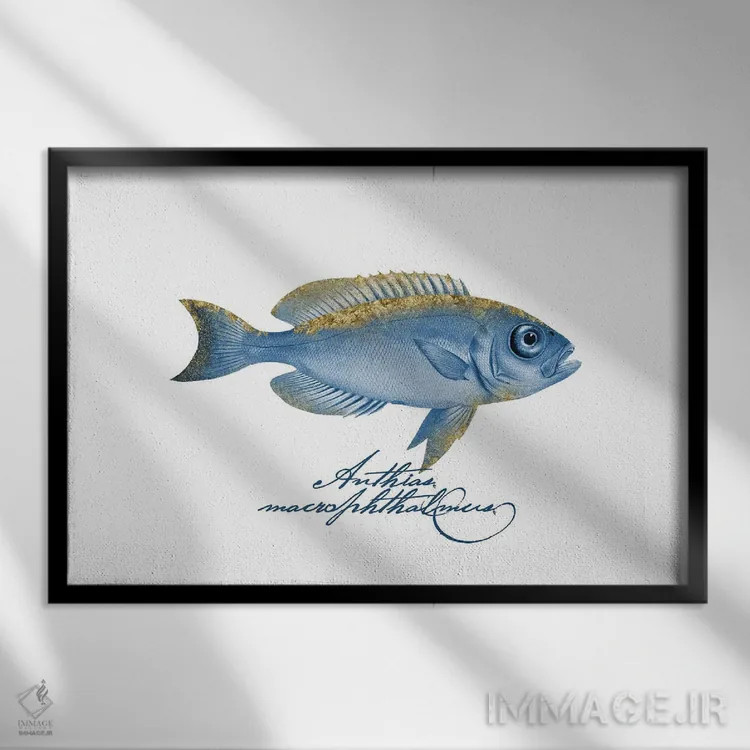 تابلو دکوراتیو ماهی گرنت چشم عینکی بال تزئین شده اثر آندریا هازه - نمای قابدار مشکی