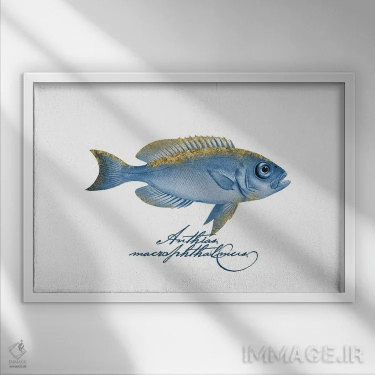 تابلو دکوراتیو ماهی گرنت چشم عینکی بال تزئین شده اثر آندریا هازه - نمای قابدار سفید