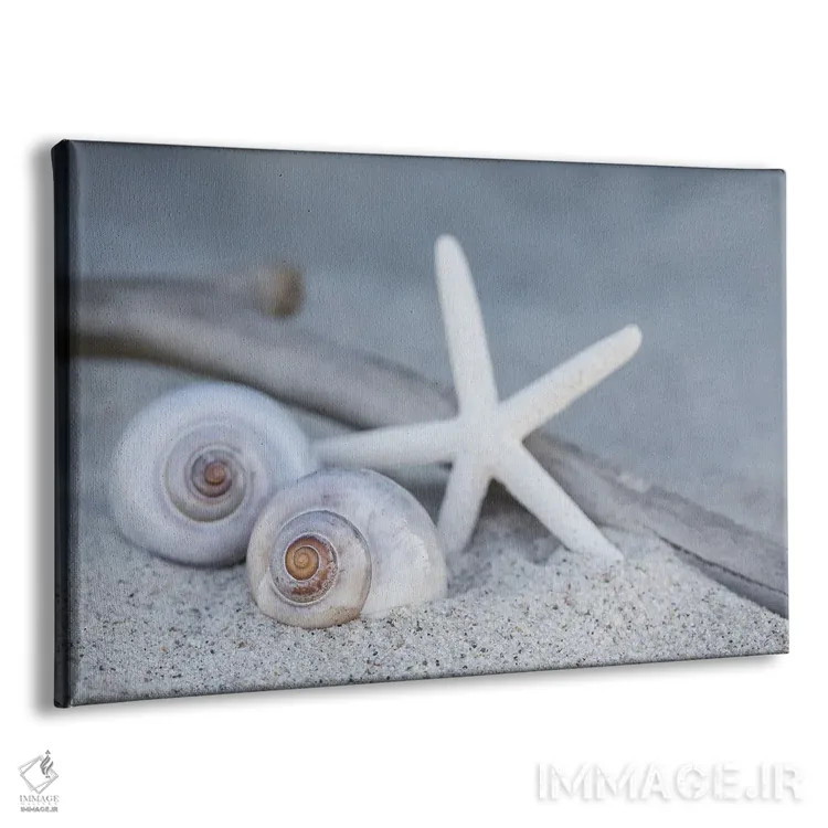 تابلو دکوراتیو ساحل با ستاره دریایی اثر آندریا هازه - نمای پرسپکتیو محصول