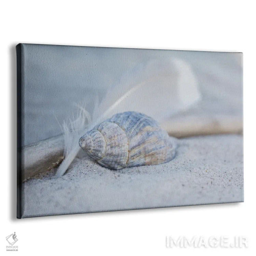 تابلو دکوراتیو ساحل با پر و صدف اثر آندریا هازه - نمای پرسپکتیو محصول