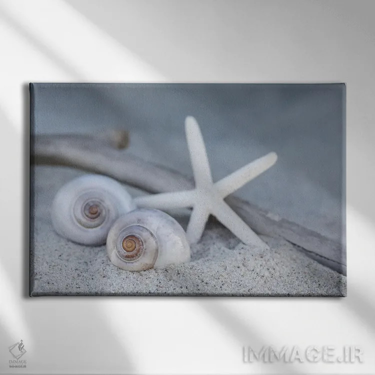 تابلو دکوراتیو ساحل با ستاره دریایی اثر آندریا هازه - نمای روبهرو روی دیوار
