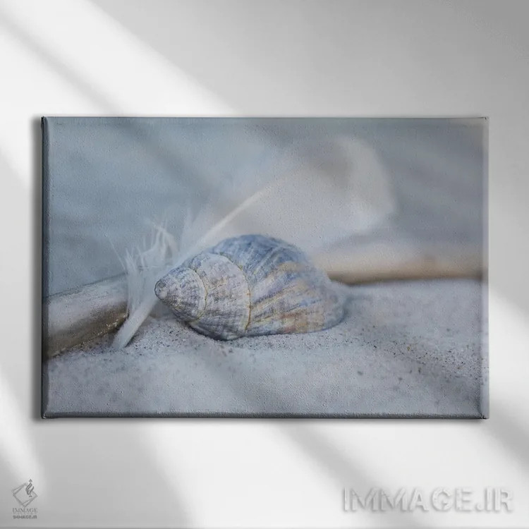 تابلو دکوراتیو ساحل با پر و صدف اثر آندریا هازه - نمای روبهرو روی دیوار