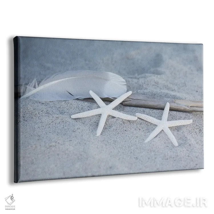 تابلو دکوراتیو ساحل با ستاره دریایی و پر اثر آندریا هازه - نمای پرسپکتیو محصول
