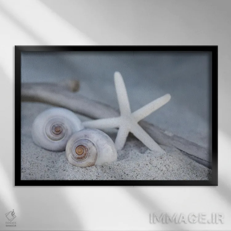 تابلو دکوراتیو ساحل با ستاره دریایی اثر آندریا هازه - نمای قابدار مشکی
