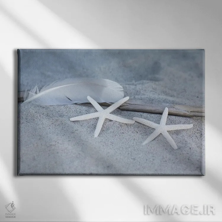 تابلو دکوراتیو ساحل با ستاره دریایی و پر اثر آندریا هازه - نمای روبهرو روی دیوار
