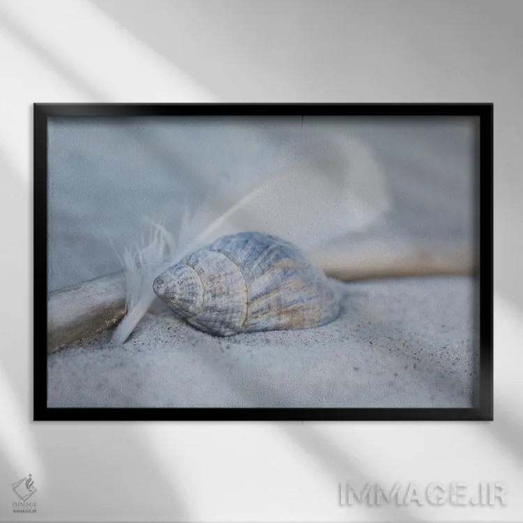 تابلو دکوراتیو ساحل با پر و صدف اثر آندریا هازه - نمای قابدار مشکی