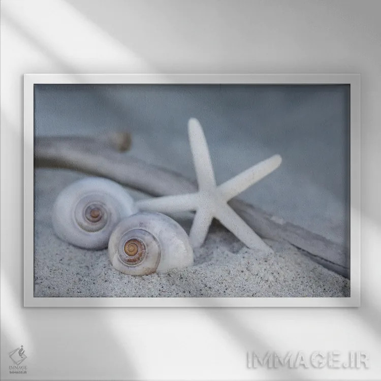 تابلو دکوراتیو ساحل با ستاره دریایی اثر آندریا هازه - نمای قابدار سفید