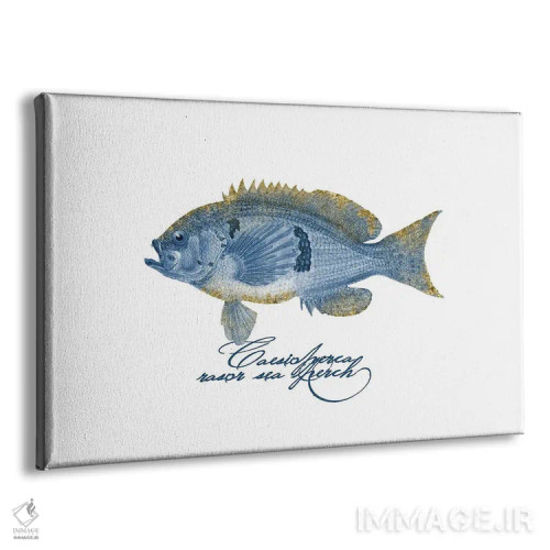 تابلو دکوراتیو ماهی پرچ آرایشی با بال تزیینی اثر آندریا هازه - نمای پرسپکتیو محصول