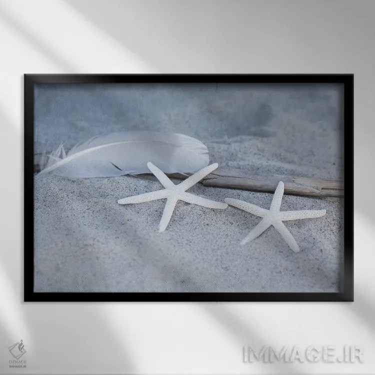 تابلو دکوراتیو ساحل با ستاره دریایی و پر اثر آندریا هازه - نمای قابدار مشکی