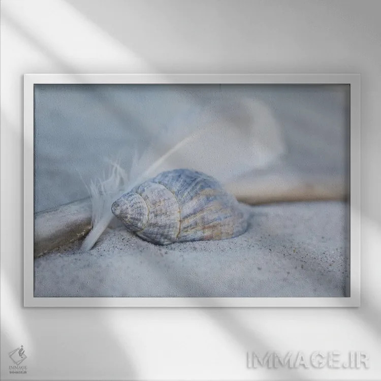 تابلو دکوراتیو ساحل با پر و صدف اثر آندریا هازه - نمای قابدار سفید