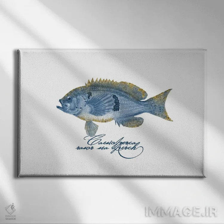 تابلو دکوراتیو ماهی پرچ آرایشی با بال تزیینی اثر آندریا هازه - نمای روبهرو روی دیوار