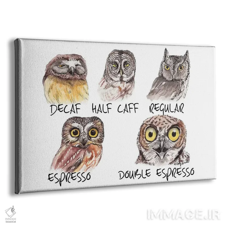 تابلو دکوراتیو متر کافئین جغد اثر هالی سیمنتال - نمای پرسپکتیو محصول