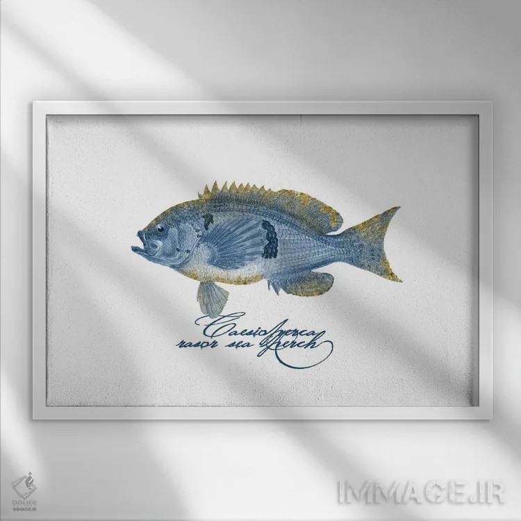 تابلو دکوراتیو ماهی پرچ آرایشی با بال تزیینی اثر آندریا هازه - نمای قابدار سفید