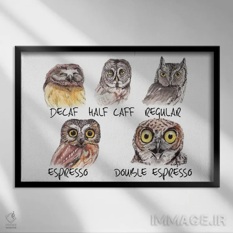 تابلو دکوراتیو متر کافئین جغد اثر هالی سیمنتال - نمای قابدار مشکی