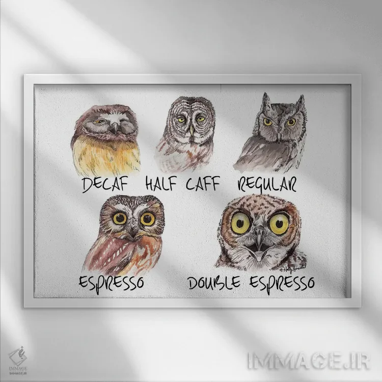 تابلو دکوراتیو متر کافئین جغد اثر هالی سیمنتال - نمای قابدار سفید