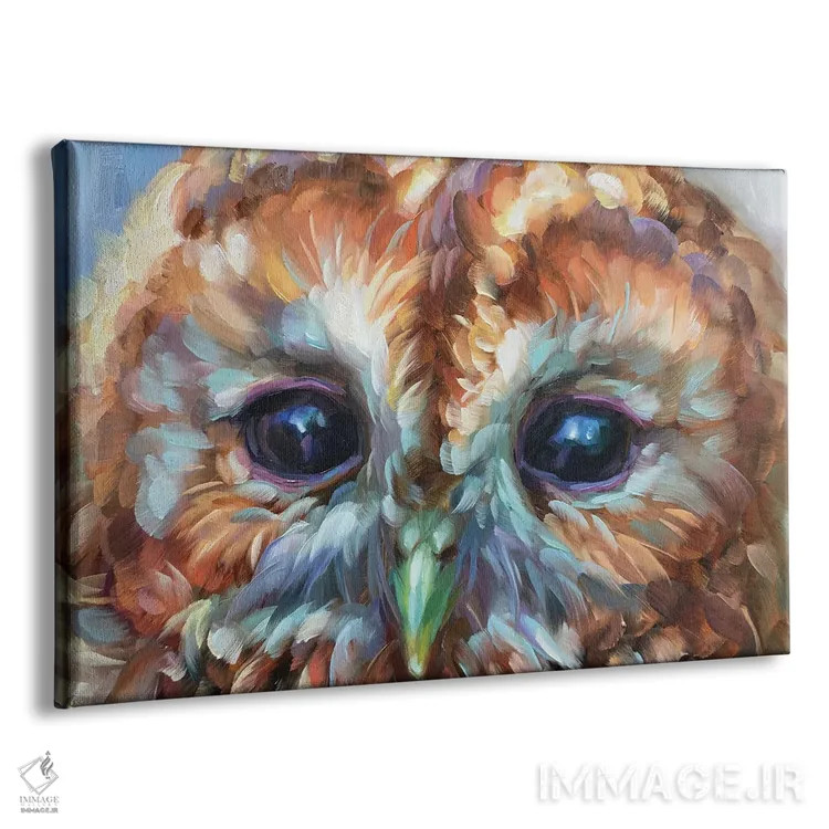 تابلو دکوراتیو مطالعه جغد ۱۵ اثر هالی استورلی - نمای پرسپکتیو محصول