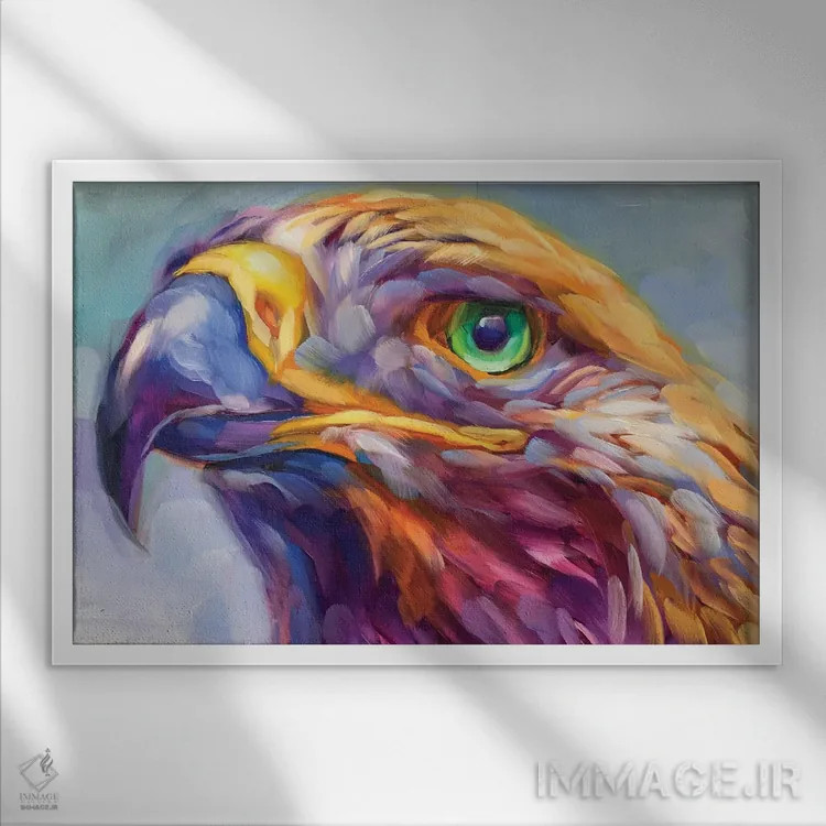 تابلو دکوراتیو مطالعه شاهین اثر هالی استورلی - نمای قابدار سفید