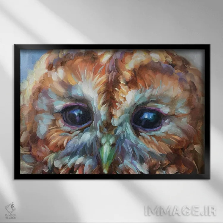 تابلو دکوراتیو مطالعه جغد ۱۵ اثر هالی استورلی - نمای قابدار مشکی