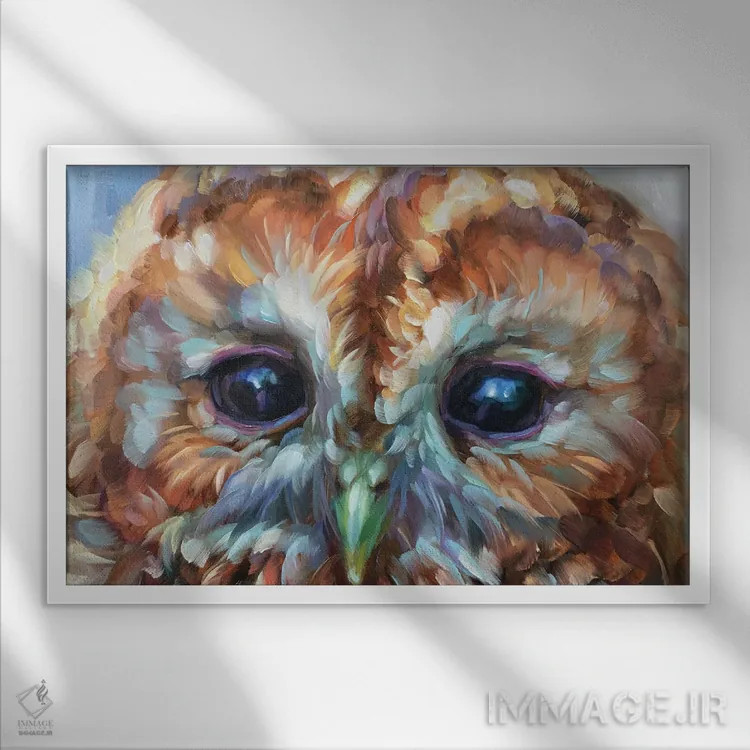 تابلو دکوراتیو مطالعه جغد ۱۵ اثر هالی استورلی - نمای قابدار سفید