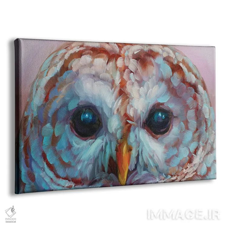 تابلو دکوراتیو مطالعه جغد ۱۷ اثر هالی استورلی - نمای پرسپکتیو محصول