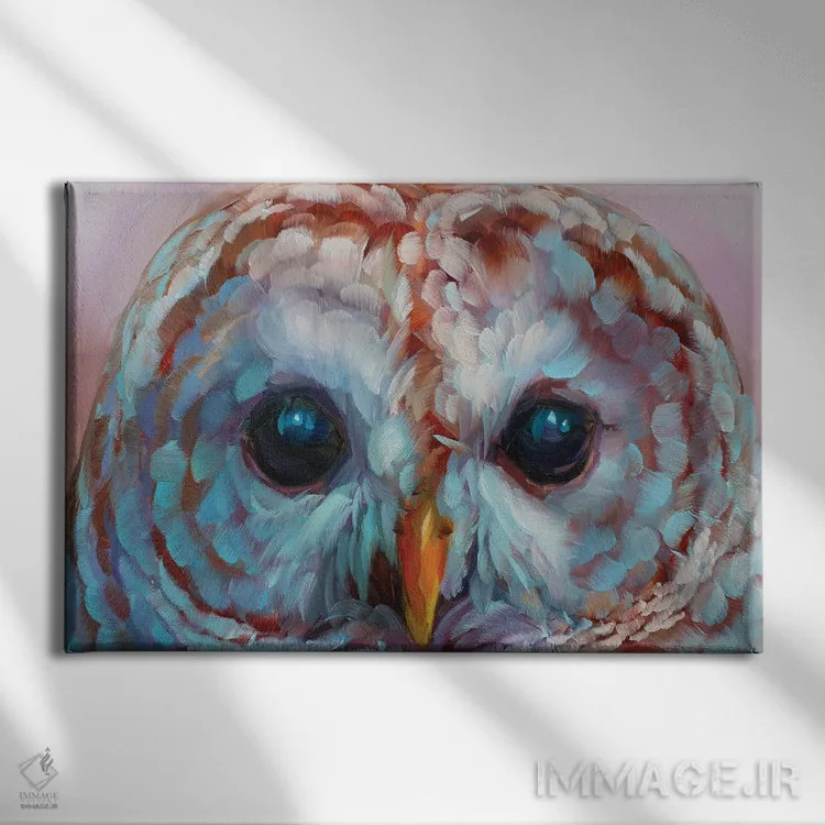 تابلو دکوراتیو مطالعه جغد ۱۷ اثر هالی استورلی - نمای روبهرو روی دیوار