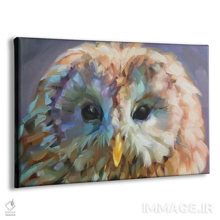 تابلو دکوراتیو مطالعه جغد ۱۰ اثر هالی استورلی - نمای پرسپکتیو محصول