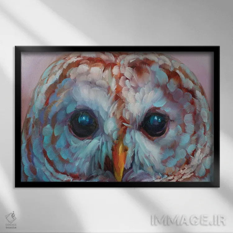 تابلو دکوراتیو مطالعه جغد ۱۷ اثر هالی استورلی - نمای قابدار مشکی