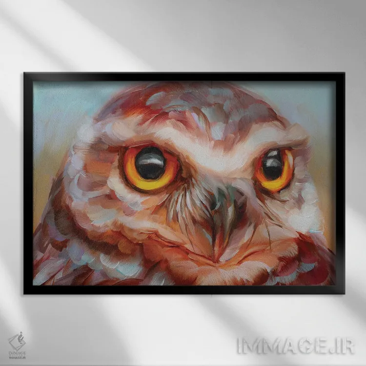 تابلو دکوراتیو مطالعه جغد ۱۶ اثر هالی استورلی - نمای قابدار مشکی