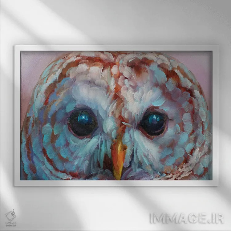 تابلو دکوراتیو مطالعه جغد ۱۷ اثر هالی استورلی - نمای قابدار سفید