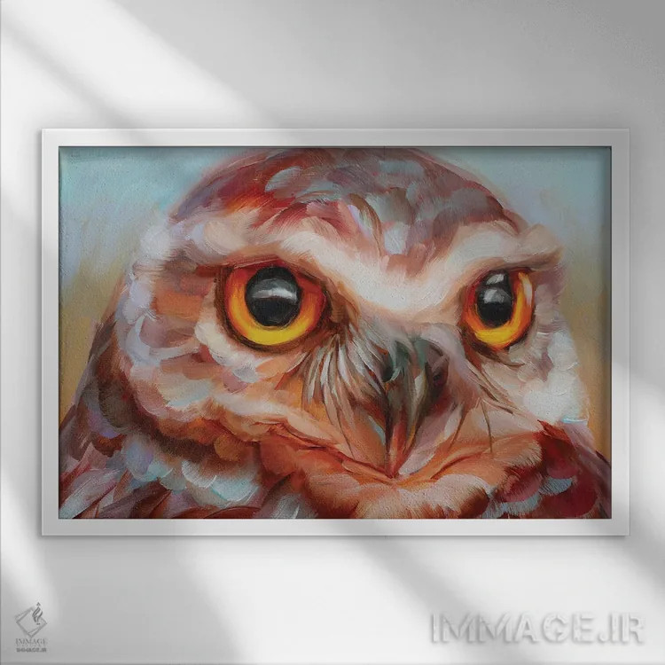 تابلو دکوراتیو مطالعه جغد ۱۶ اثر هالی استورلی - نمای قابدار سفید