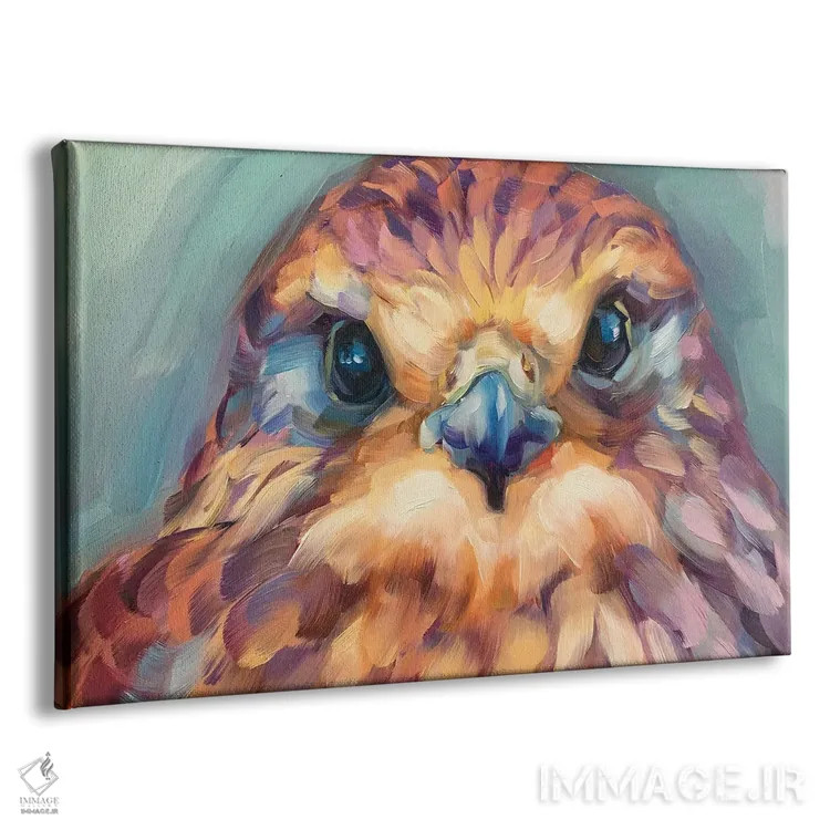 تابلو دکوراتیو مطالعه جوجه شاهین اثر هالی استورلی - نمای پرسپکتیو محصول