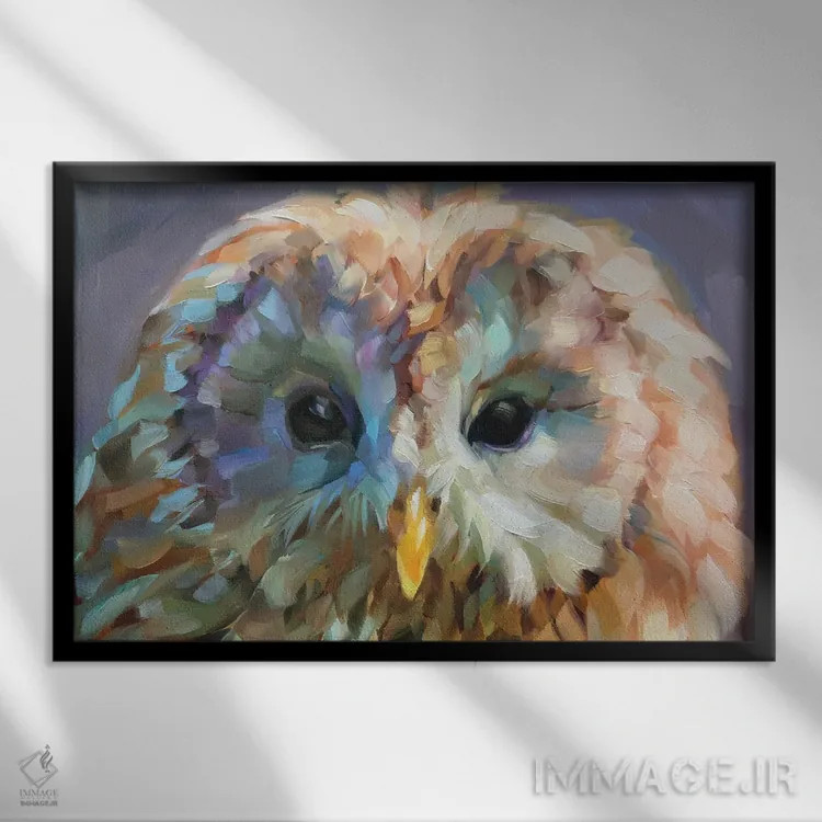 تابلو دکوراتیو مطالعه جغد ۱۰ اثر هالی استورلی - نمای قابدار مشکی