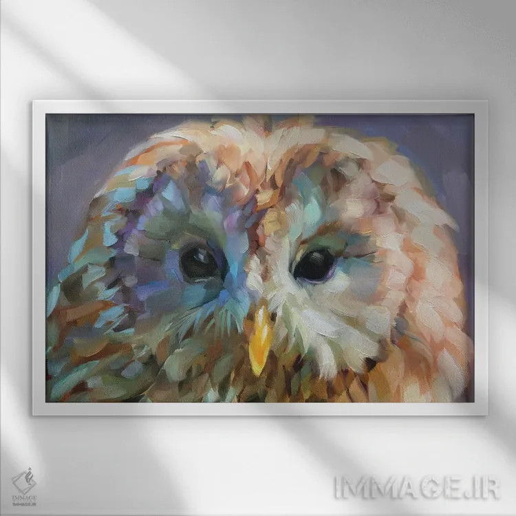 تابلو دکوراتیو مطالعه جغد ۱۰ اثر هالی استورلی - نمای قابدار سفید