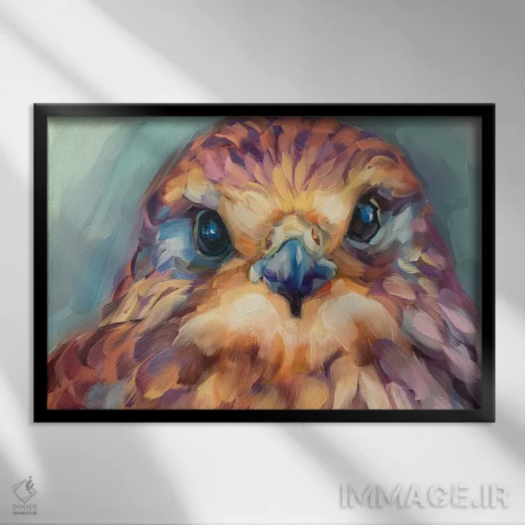 تابلو دکوراتیو مطالعه جوجه شاهین اثر هالی استورلی - نمای قابدار مشکی