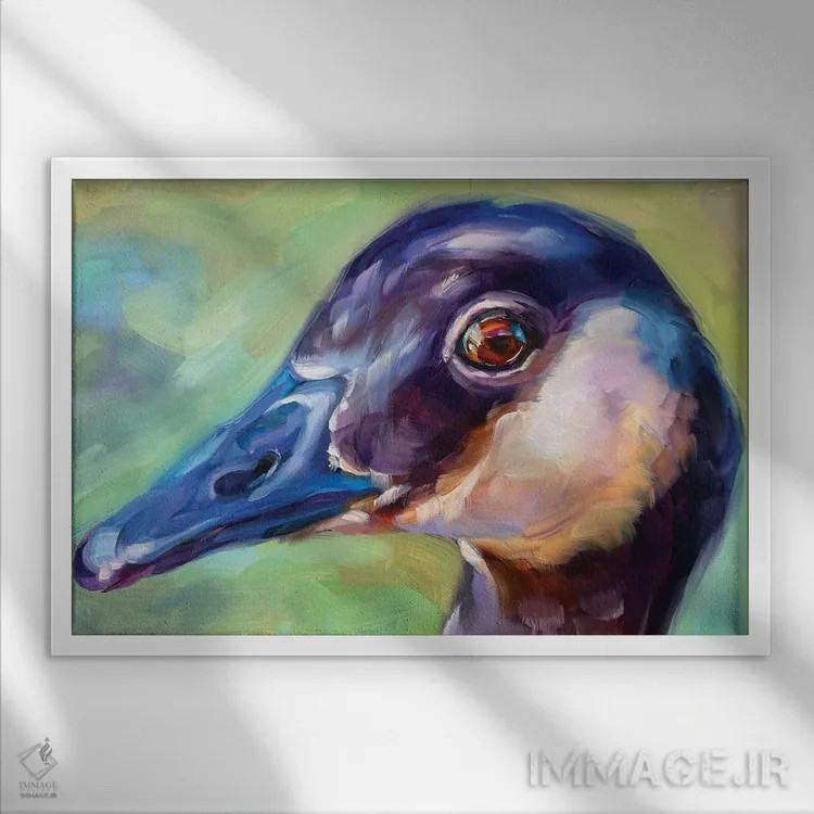 تابلو دکوراتیو مطالعه غاز ۲ اثر هالی استورلی - نمای قابدار سفید