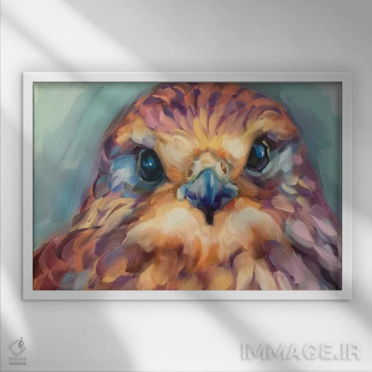 تابلو دکوراتیو مطالعه جوجه شاهین اثر هالی استورلی - نمای قابدار سفید